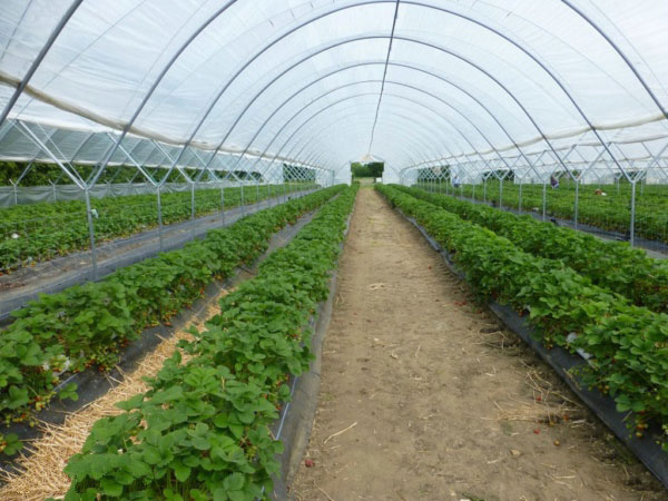 風(fēng)途科技推出物聯(lián)網(wǎng)氣象傳感器 風(fēng)途科技推出物聯(lián)網(wǎng)氣象傳感器